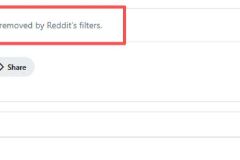 Reddit 提示 Sorry, this post was removed by Reddit's filters 是什么原因？完整原因解析与解决办法